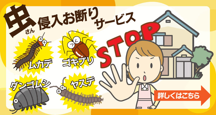 虫さん侵入お断りサービス